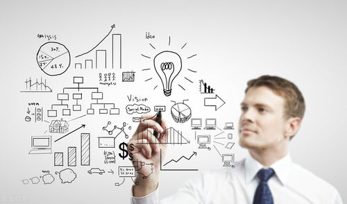 破局与新生 传统软件企业转型中的互联网产品市场策划与运营思路探析