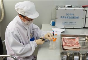 咨询策划服务的精准供应 如何在youbian.com找到优质信息资源